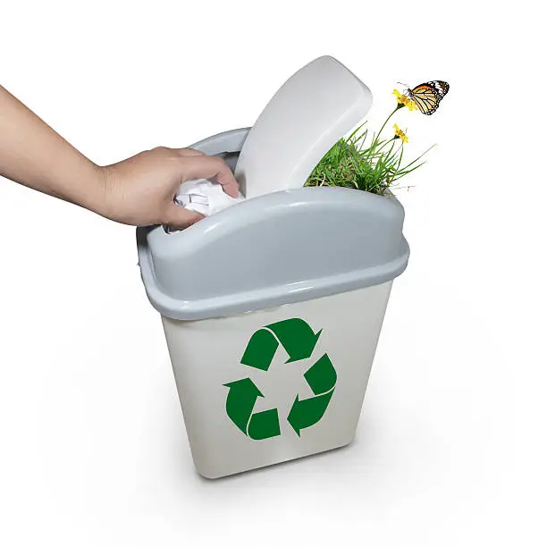 The Environmental Impact of Responsible Junk Removal